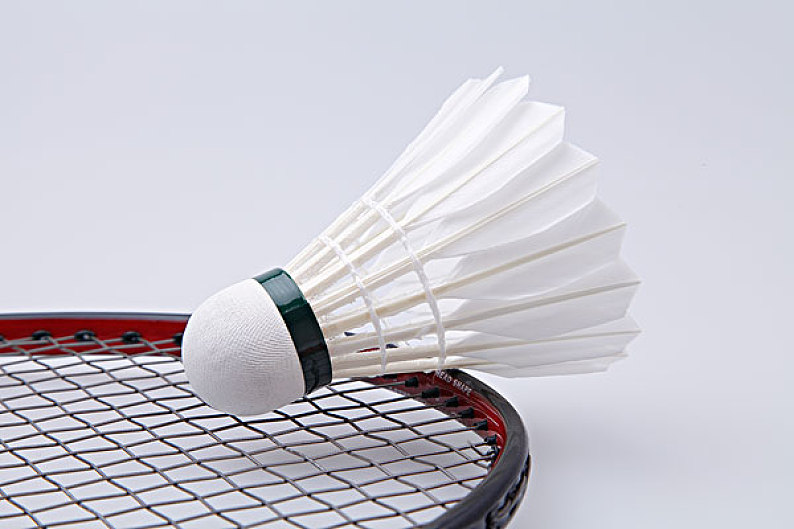 三是主播 三是主播